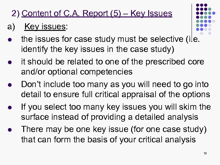2) Content of C. A. Report (5) – Key Issues a) l l l