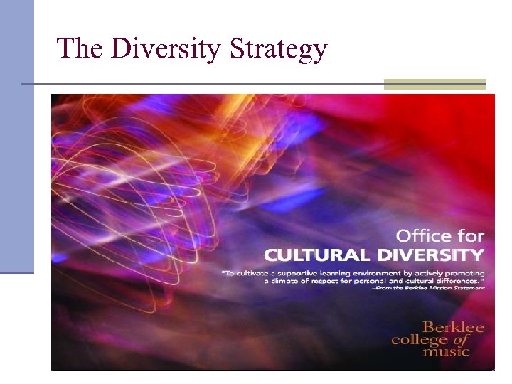 The Diversity Strategy 