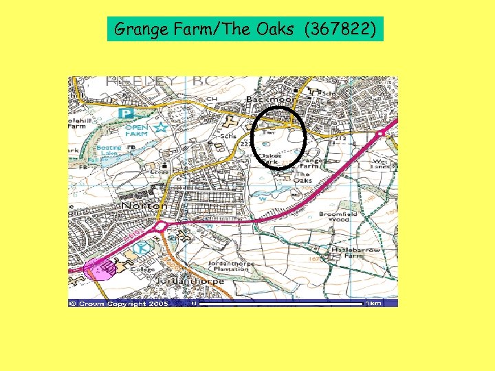 Grange Farm/The Oaks (367822) 