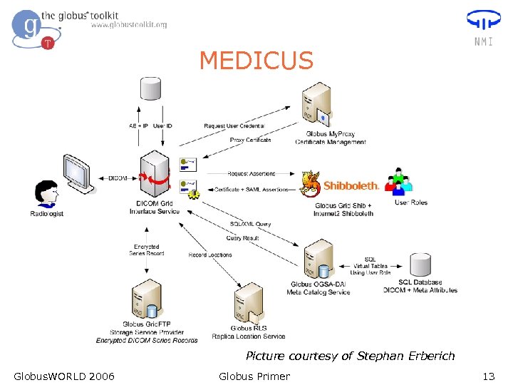 MEDICUS Picture courtesy of Stephan Erberich Globus. WORLD 2006 Globus Primer 13 