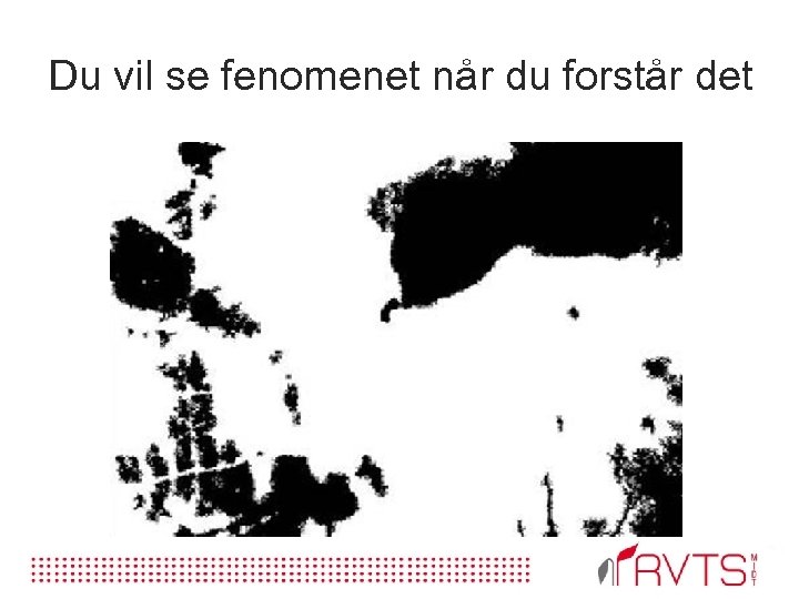 Du vil se fenomenet når du forstår det 