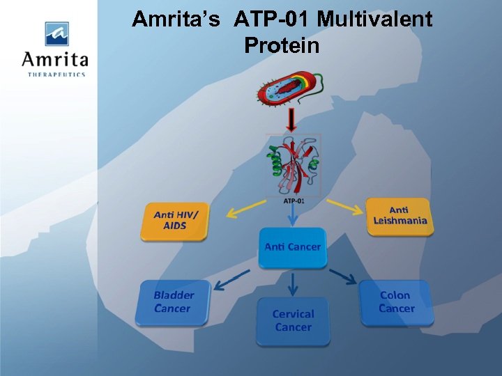 Amrita’s ATP-01 Multivalent Protein 