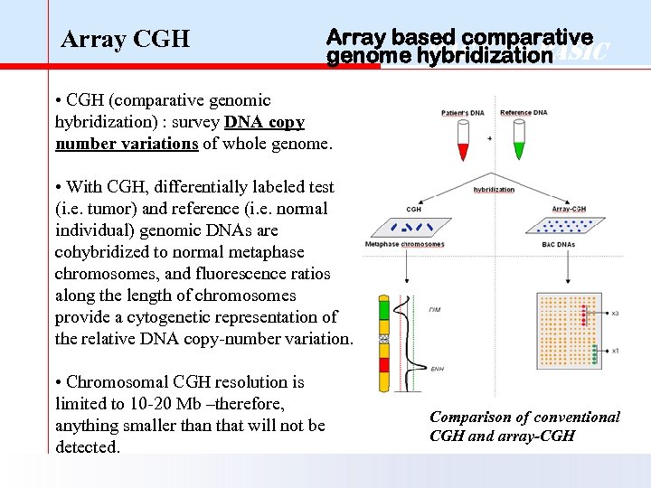 Array CGH Array based comparative Back to Basic genome hybridization • CGH (comparative genomic
