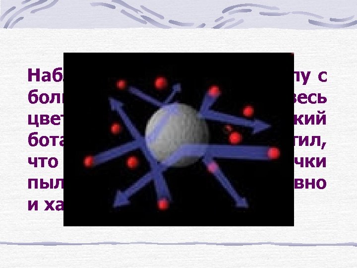 Наблюдая в 1827 году в лупу с большим увеличением взвесь цветочной пыльцы, английский ботаник