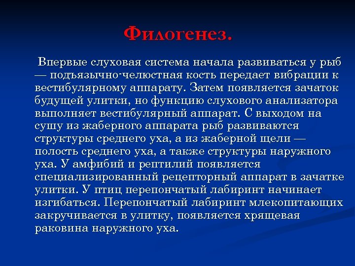 Филогенез. Впервые слуховая система начала развиваться у рыб — подъязычно-челюстная кость передает вибрации к