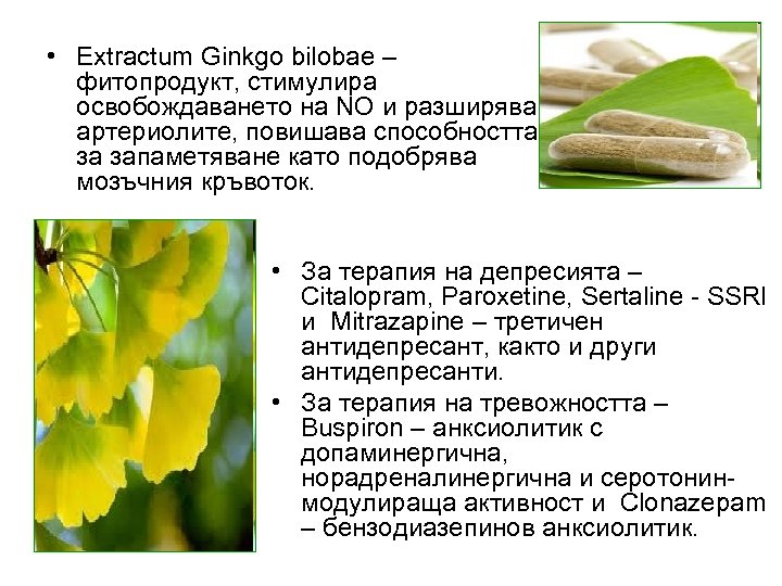  • Extractum Ginkgo bilobae – фитопродукт, стимулира освобождаването на NO и разширява артериолите,