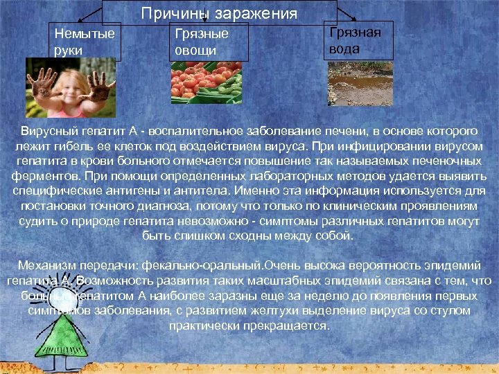 Причины заражения Немытые руки Грязные овощи Грязная вода Вирусный гепатит А - воспалительное заболевание