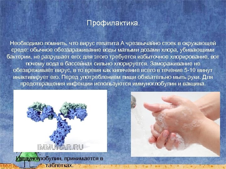 Профилактика. Необходимо помнить, что вирус гепатита А чрезвычайно стоек в окружающей среде: обычное обеззараживание