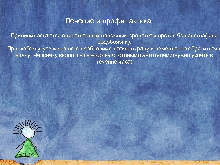 Лечение и профилактика. Прививки остаются единственным надежным средством против бешенства( или водобоязни). При любом