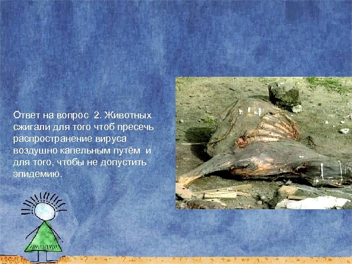 Ответ на вопрос 2. Животных сжигали для того чтоб пресечь распространение вируса воздушно капельным