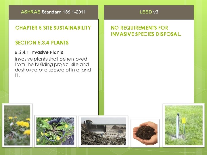 ASHRAE Standard 189. 1 -2011 CHAPTER 5 SITE SUSTAINABILITY SECTION 5. 3. 4 PLANTS