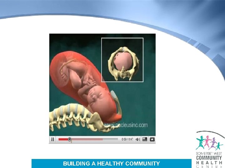 BUILDING A HEALTHY COMMUNITY 