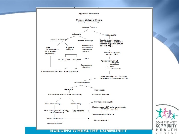 BUILDING A HEALTHY COMMUNITY 