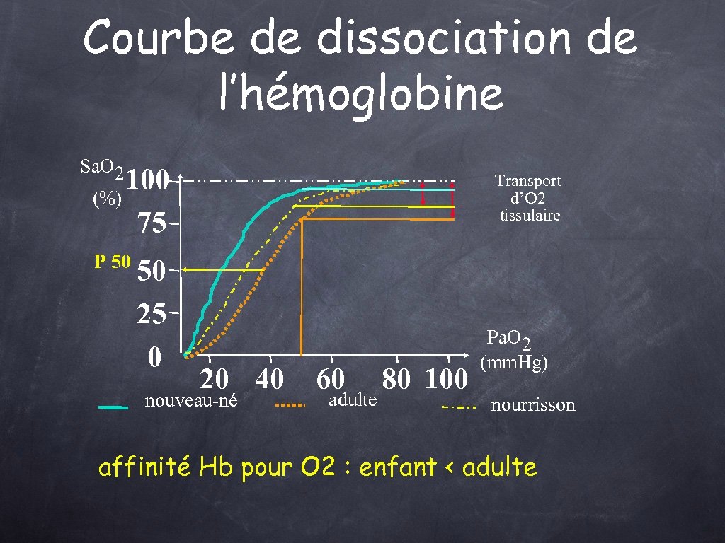 Courbe de dissociation de l’hémoglobine Sa. O 2 100 (%) 75 P 50 50