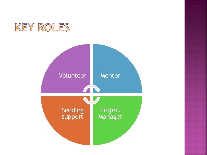 Volunteer Mentor Sending support Project Manager 