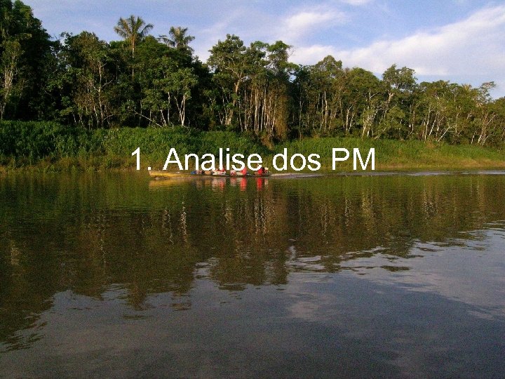 1. Analise dos PM 