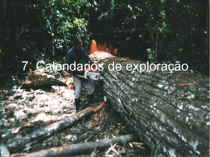 7. Calendarios de exploração 