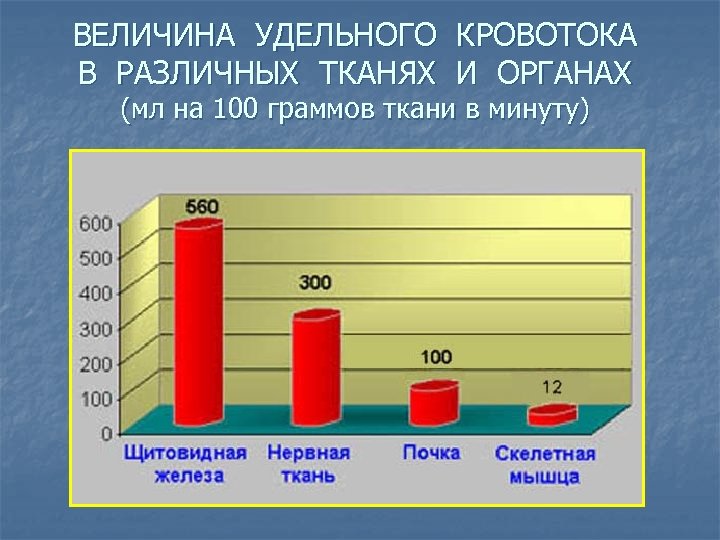 ВЕЛИЧИНА УДЕЛЬНОГО КРОВОТОКА В РАЗЛИЧНЫХ ТКАНЯХ И ОРГАНАХ (мл на 100 граммов ткани в