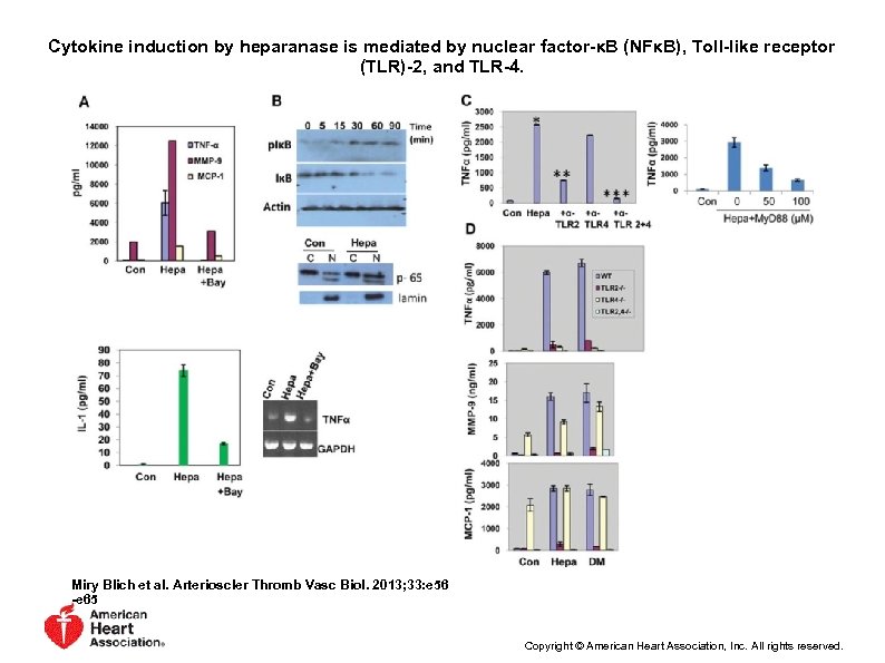Cytokine induction by heparanase is mediated by nuclear factor-κB (NFκB), Toll-like receptor (TLR)-2, and
