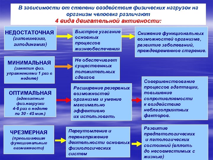 В зависимости от степени воздействия физических нагрузок на организм человека различают 4 вида двигательной