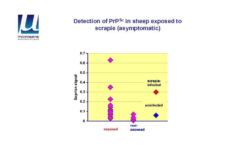 Detection of Pr. PSc in sheep exposed to scrapie (asymptomatic) 