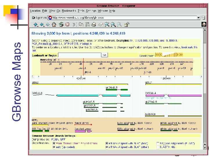 GBrowse Maps 