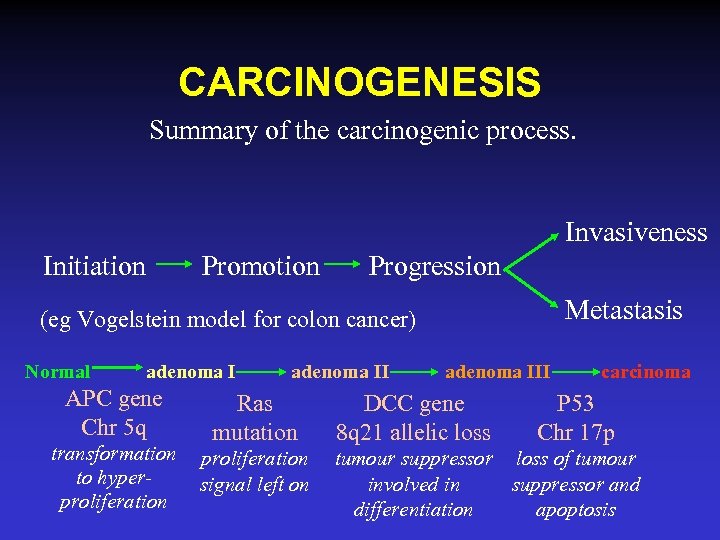 CARCINOGENESIS Summary of the carcinogenic process. Invasiveness Initiation Promotion Progression Metastasis (eg Vogelstein model