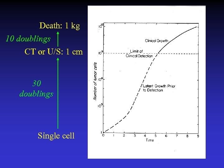 Death: 1 kg 10 doublings CT or U/S: 1 cm 30 doublings Single cell