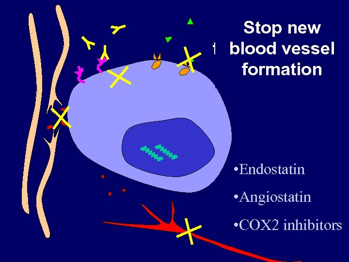 Stop Block growth Turn off the Stop new Stimulate Chemotherapy destruction of factor receptors