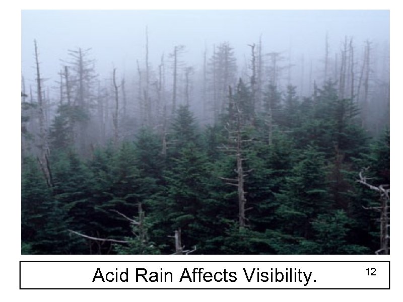 Acid Rain Affects Visibility. 12 