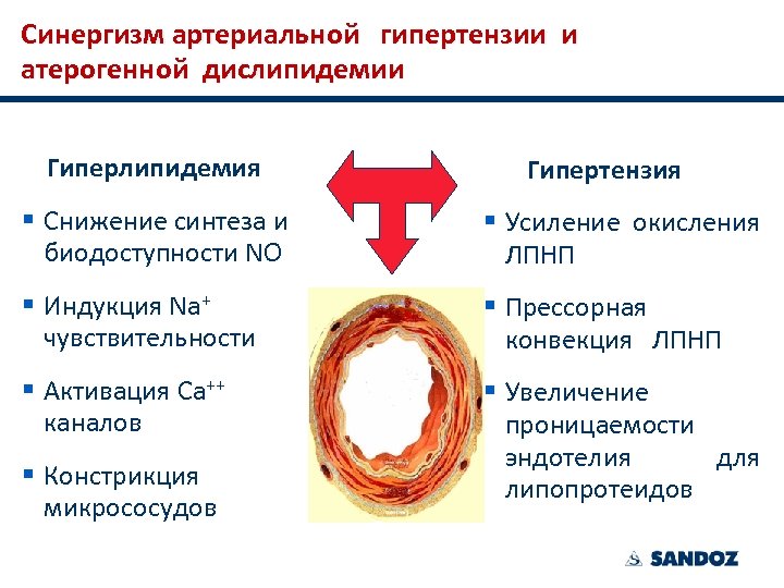 Вторичные дислипидемии