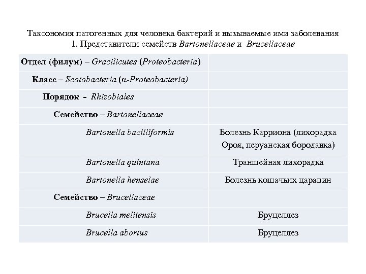 Таксономия патогенных для человека бактерий и вызываемые ими заболевания 1. Представители семейств Bartonellaceae и