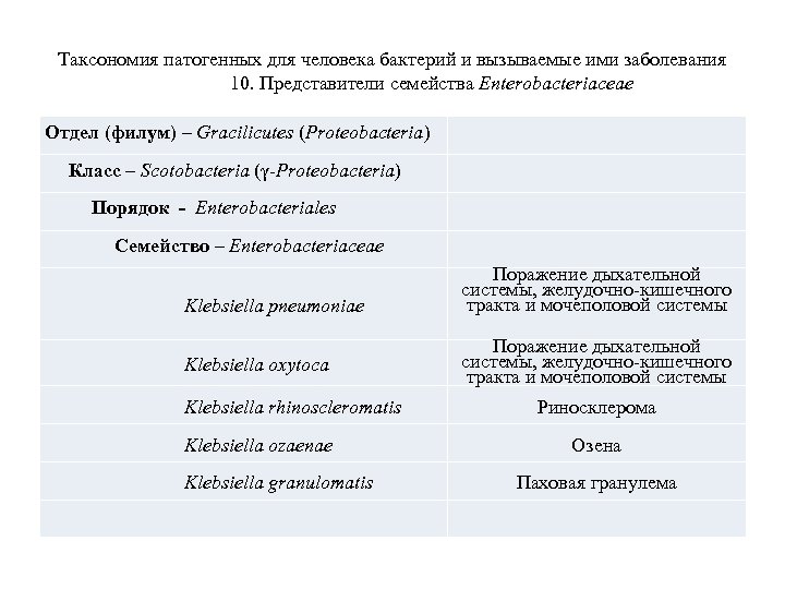 Таксономия патогенных для человека бактерий и вызываемые ими заболевания 10. Представители семейства Enterobacteriaceae Отдел