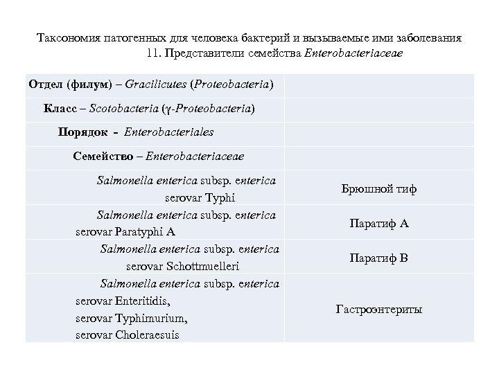 Таксономия патогенных для человека бактерий и вызываемые ими заболевания 11. Представители семейства Enterobacteriaceae Отдел