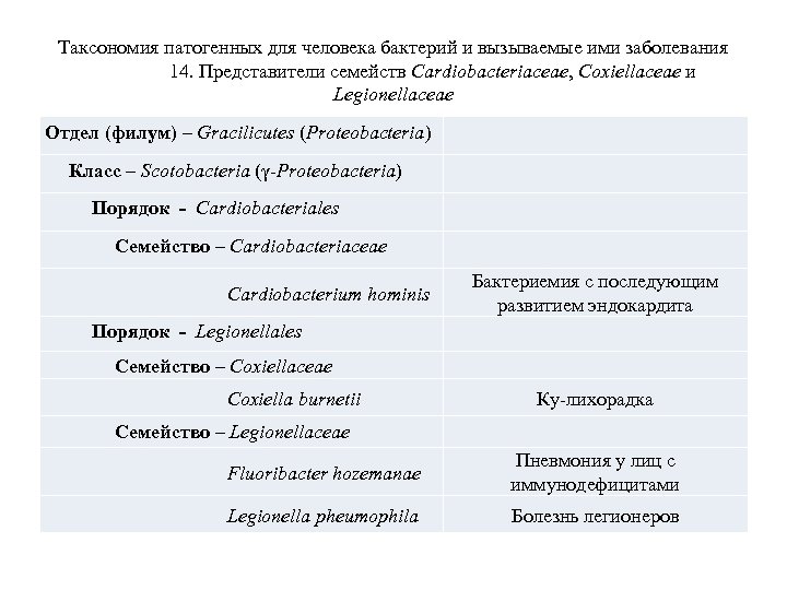 Таксономия патогенных для человека бактерий и вызываемые ими заболевания 14. Представители семейств Cardiobacteriaceae, Coxiellaceae
