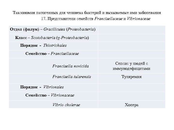 Таксономия патогенных для человека бактерий и вызываемые ими заболевания 17. Представители семейств Francisellaceae и