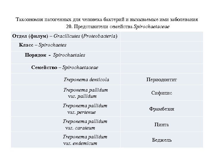 Таксономия патогенных для человека бактерий и вызываемые ими заболевания 20. Представители семейства Spirochaetaceae Отдел