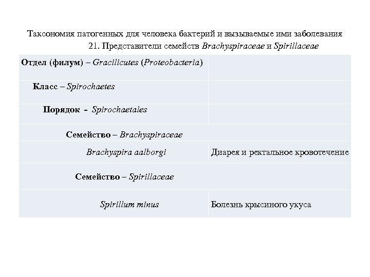 Таксономия патогенных для человека бактерий и вызываемые ими заболевания 21. Представители семейств Brachyspiraceae и