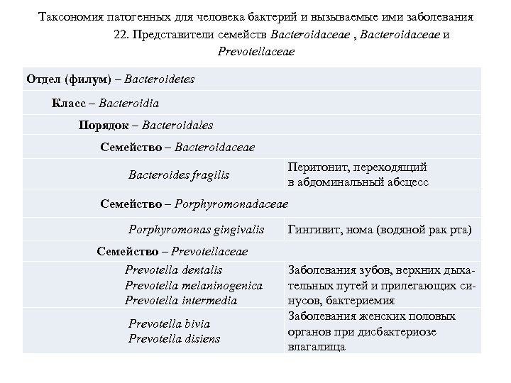 Таксономия патогенных для человека бактерий и вызываемые ими заболевания 22. Представители семейств Bacteroidaceae ,