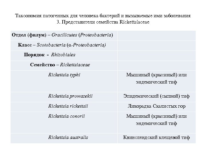 Таксономия патогенных для человека бактерий и вызываемые ими заболевания 3. Представители семейства Rickettsiaceae Отдел