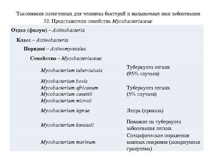 Таксономия патогенных для человека бактерий и вызываемые ими заболевания 32. Представители семейства Mycobacteriaceae Отдел