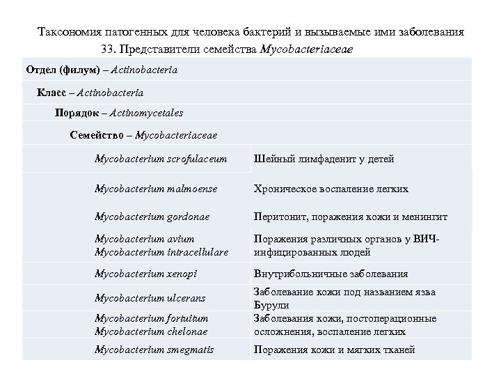 Таксономия патогенных для человека бактерий и вызываемые ими заболевания 33. Представители семейства Mycobacteriaceae Отдел