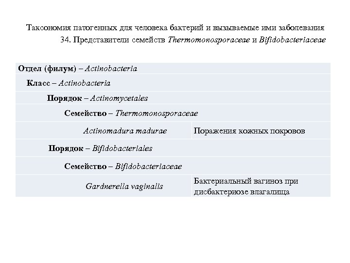 Таксономия патогенных для человека бактерий и вызываемые ими заболевания 34. Представители семейств Thermomonosporaceae и