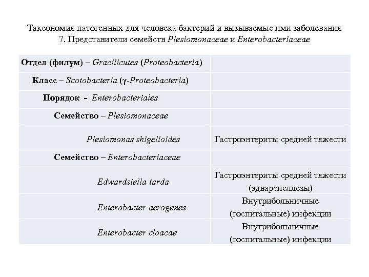 Таксономия патогенных для человека бактерий и вызываемые ими заболевания 7. Представители семейств Plesiomonaceae и
