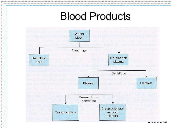 Blood Products 