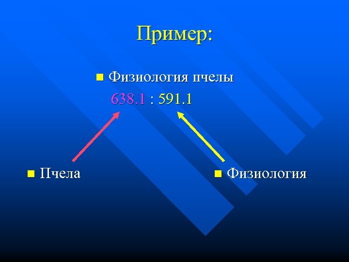 Пример: n n Пчела Физиология пчелы 638. 1 : 591. 1 n Физиология 