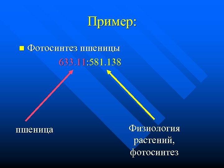 Пример: n Фотосинтез пшеницы 633. 11: 581. 138 пшеница Физиология растений, фотосинтез 