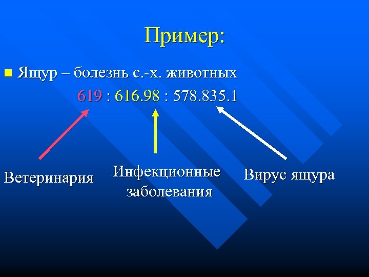 Пример: n Ящур – болезнь с. -х. животных 619 : 616. 98 : 578.