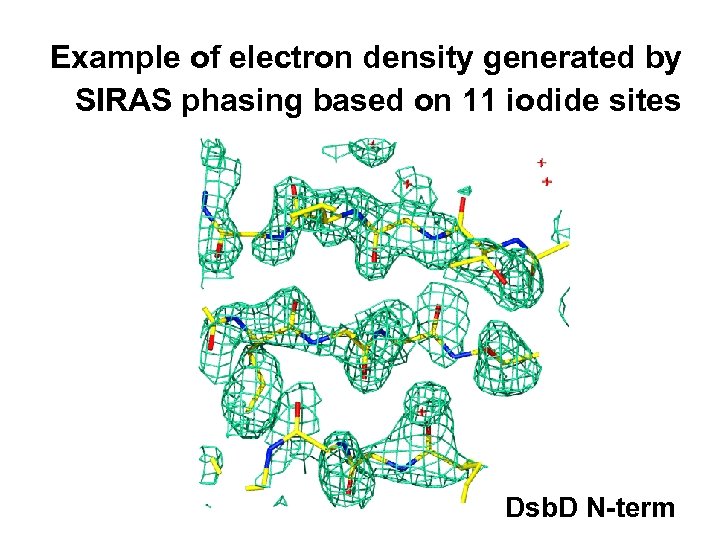 Example of electron density generated by SIRAS phasing based on 11 iodide sites Dsb.