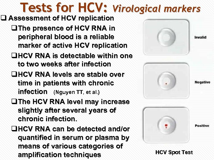 Tests for HCV: Virological markers q Assessment of HCV replication q. The presence of